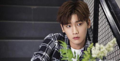 娱乐吃瓜爆料张栋梁微博,娱乐圈最新幕后故事大揭秘  第3张