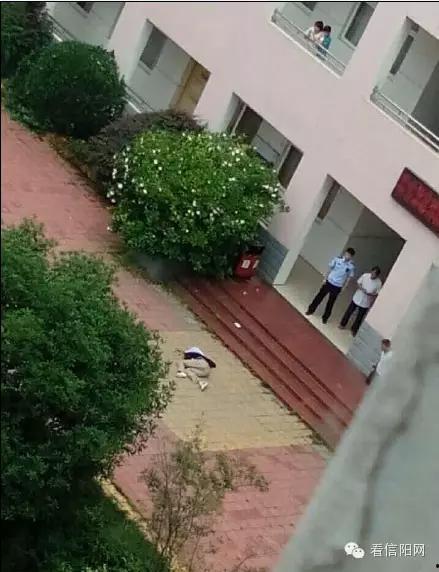 郑州小区女子爆料视频,郑州小区女子爆料视频引发热议  第2张